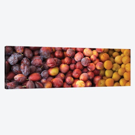 Close-Up Of Assorted Plums For Sale Canvas Print #PIM14372} by Panoramic Images Canvas Print