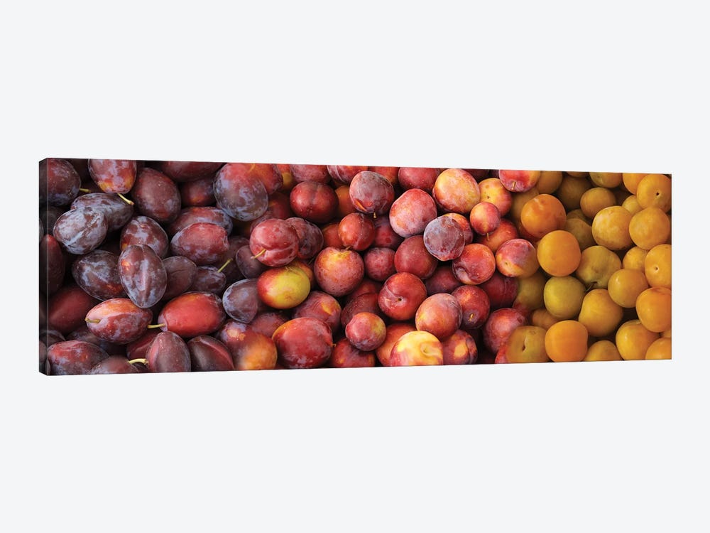Close-Up Of Assorted Plums For Sale by Panoramic Images 1-piece Canvas Art Print