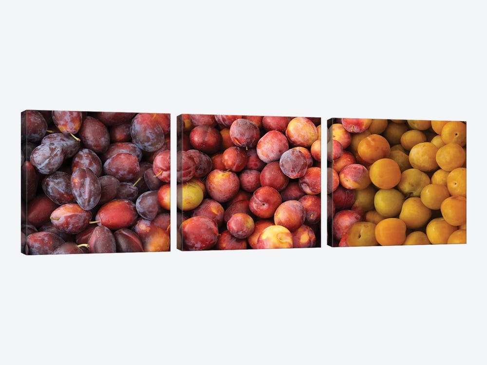 Close-Up Of Assorted Plums For Sale by Panoramic Images 3-piece Art Print
