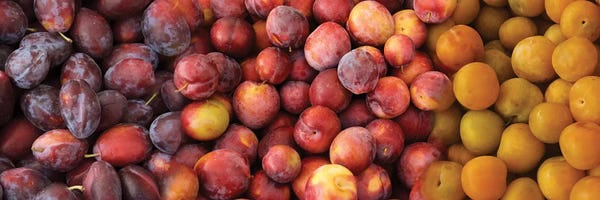 Gardening: Close-Up Of Assorted Plums For Sale by Panoramic Images