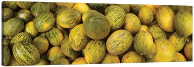 Close-Up Of Melons For Sale Canvas Art Print - Still Life