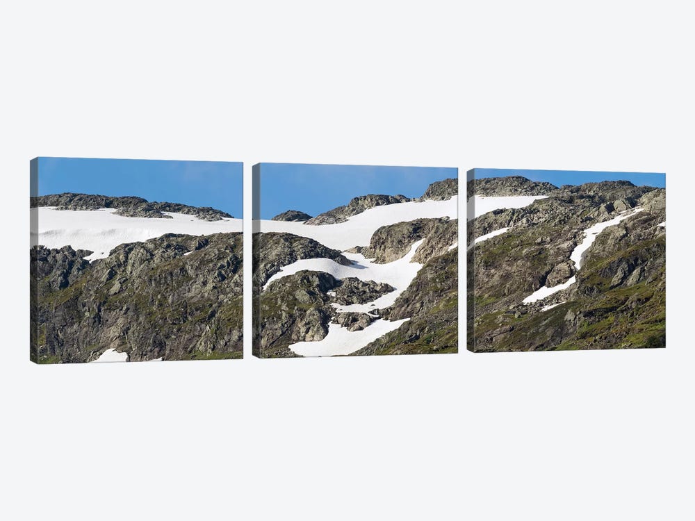 Close-Up Of Mountain, Sogn Og Fjordane County, Norway by Panoramic Images 3-piece Canvas Print