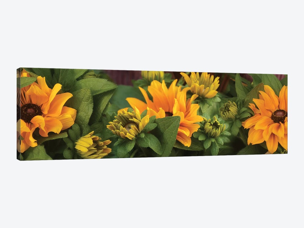Close-Up Of Orange Flowers Blooming I by Panoramic Images 1-piece Canvas Wall Art