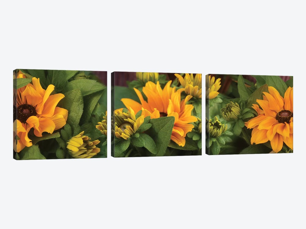 Close-Up Of Orange Flowers Blooming I by Panoramic Images 3-piece Canvas Wall Art