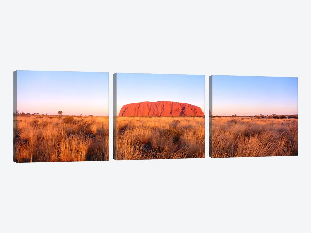 Uluru (Ayers Rock), Uluru-Kata Tjuta National Park, Northern Territory, Australia by Panoramic Images 3-piece Canvas Print