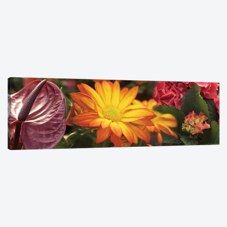 Close-Up Of Red Anthurium, Gerbera Daisy And Red Hydrangeas Flowers Canvas Print #PIM14509} by Panoramic Images Canvas Artwork