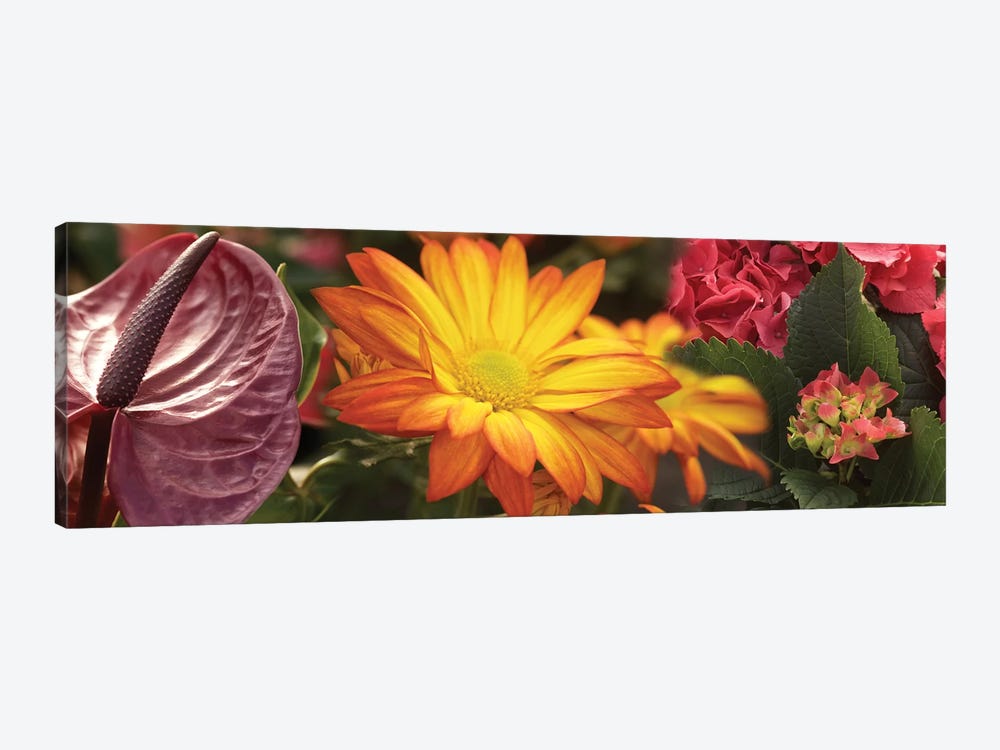 Close-Up Of Red Anthurium, Gerbera Daisy And Red Hydrangeas Flowers by Panoramic Images 1-piece Canvas Art Print