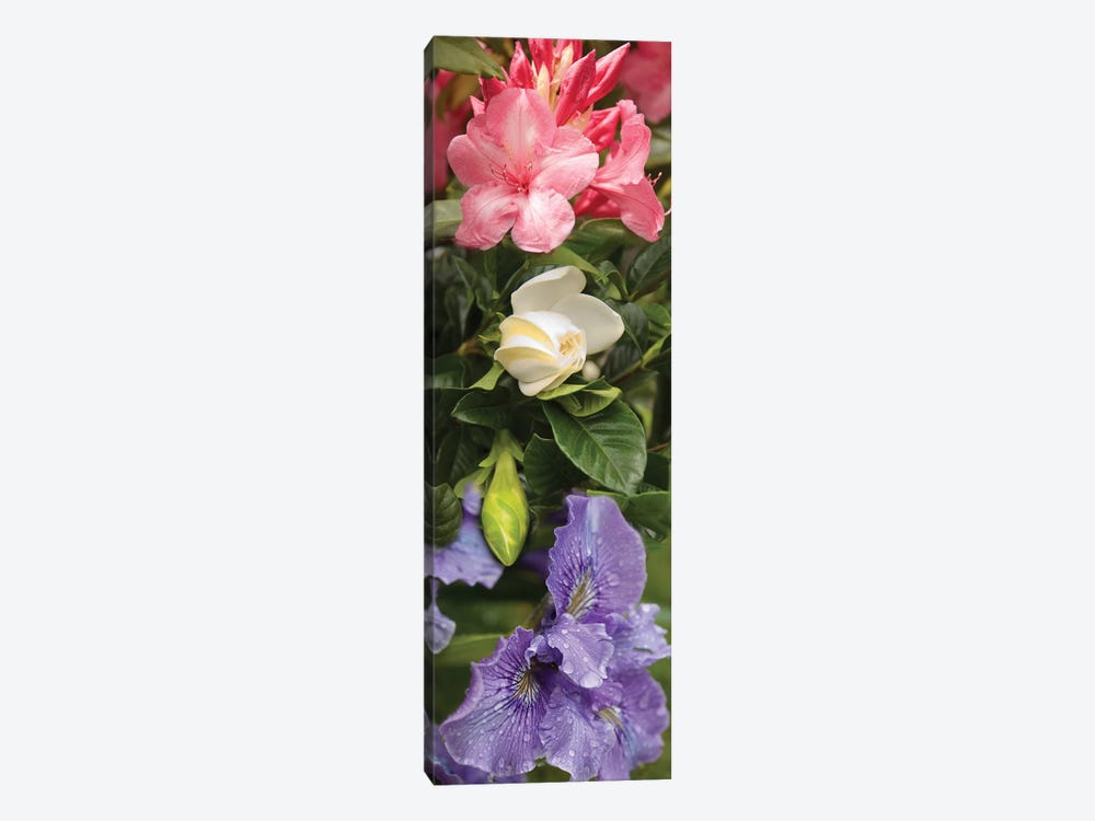 Close-Up Of Rhododendron And Iris Flowers by Panoramic Images 1-piece Canvas Artwork