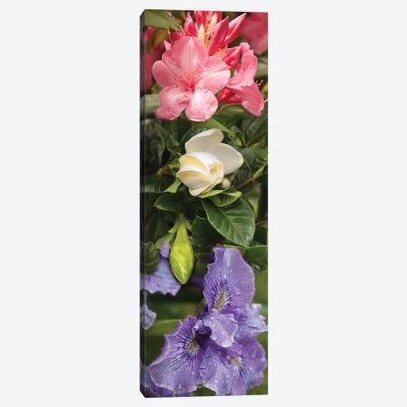 Close-Up Of Rhododendron And Iris Flowers Canvas Print #PIM14524} by Panoramic Images Canvas Print