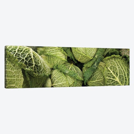 Close-Up Of Savoy Cabbages Growing On Plant Canvas Print #PIM14534} by Panoramic Images Canvas Artwork