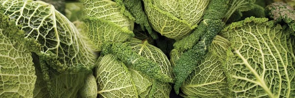 Close-Up Of Savoy Cabbages Growing On Plant