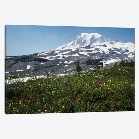 Close-Up Of Wildflowers, Mount Rainier National Park, Washington State, USA I Canvas Print #PIM14554} by Panoramic Images Canvas Art