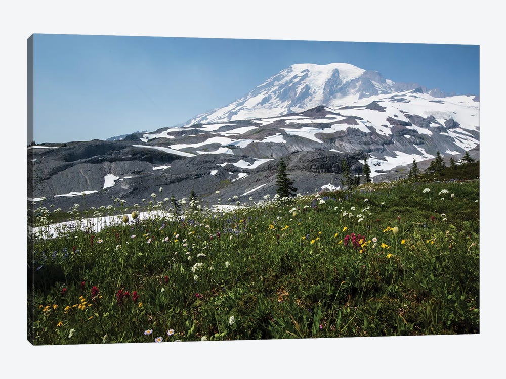 Close-Up Of Wildflowers, Mount Rainier National Park, Washington State, USA I by Panoramic Images 1-piece Canvas Print