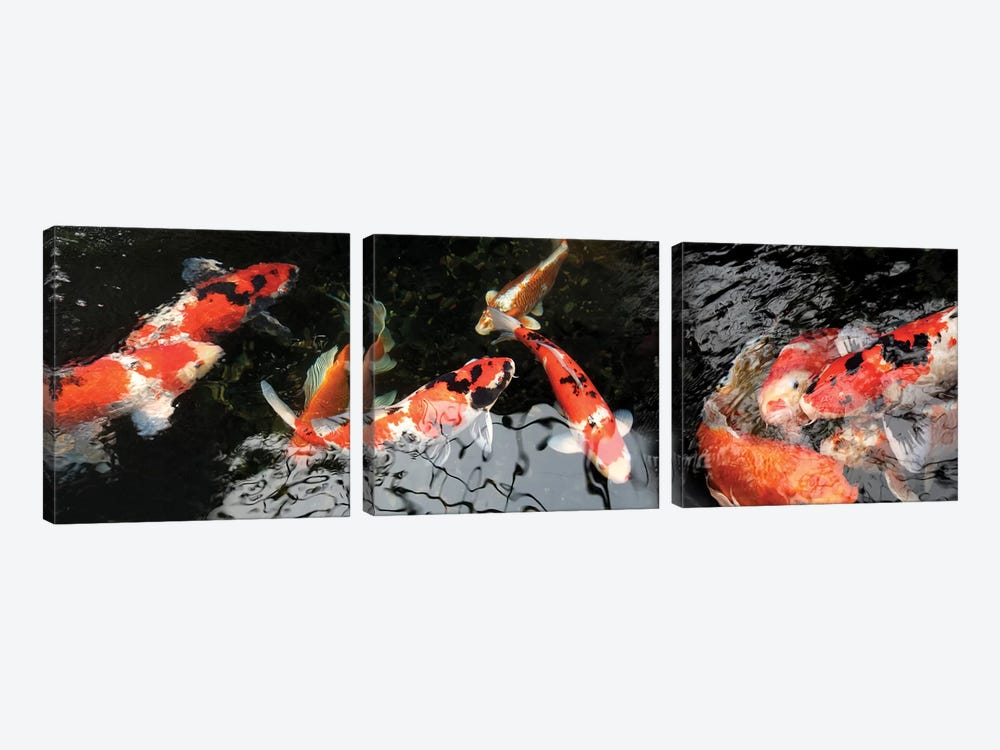 Colorful Koi Fish I by Panoramic Images 3-piece Canvas Art Print