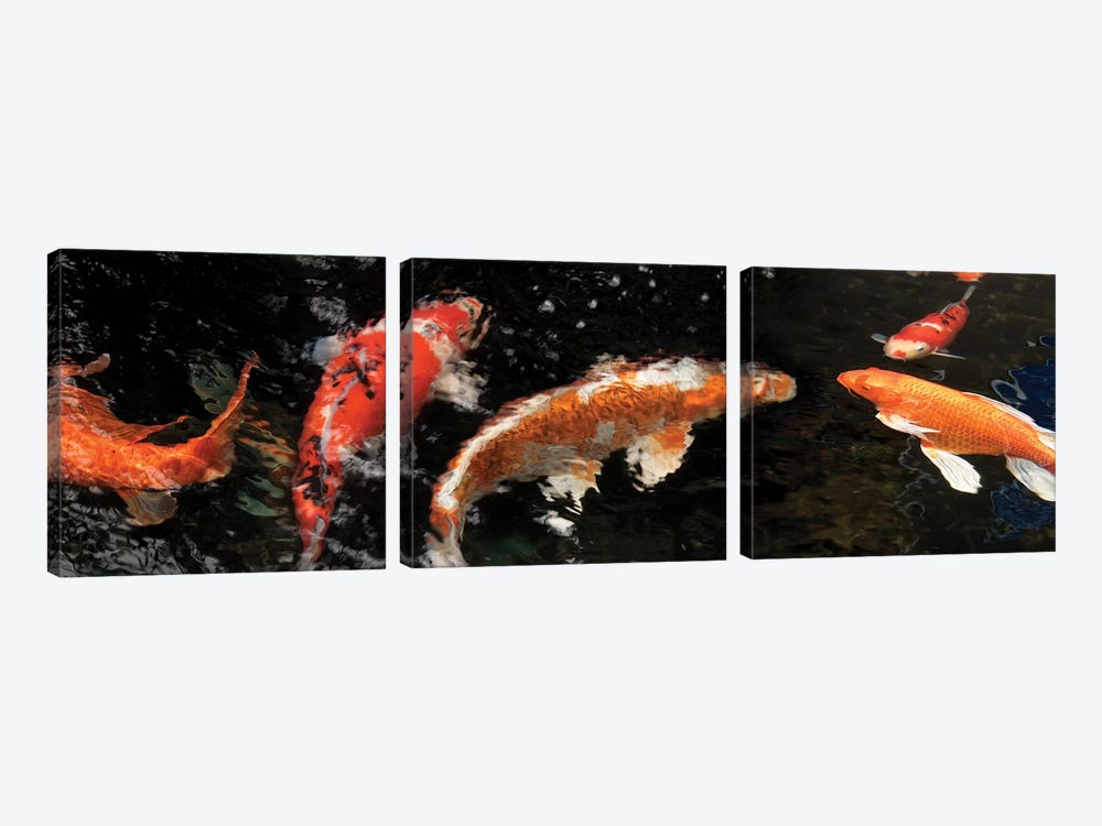 Colorful Koi Fish IV by Panoramic Images 3-piece Canvas Wall Art