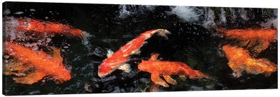 Colorful Koi Fish V Canvas Art Print - Koi Fish Art