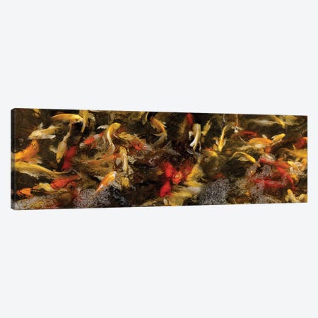 Colorful Koi Fish VI Canvas Print #PIM14595} by Panoramic Images Canvas Art
