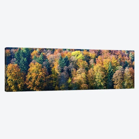 Colorful Trees In A Forest, Baden-Württemberg, Germany Canvas Print #PIM14596} by Panoramic Images Canvas Art