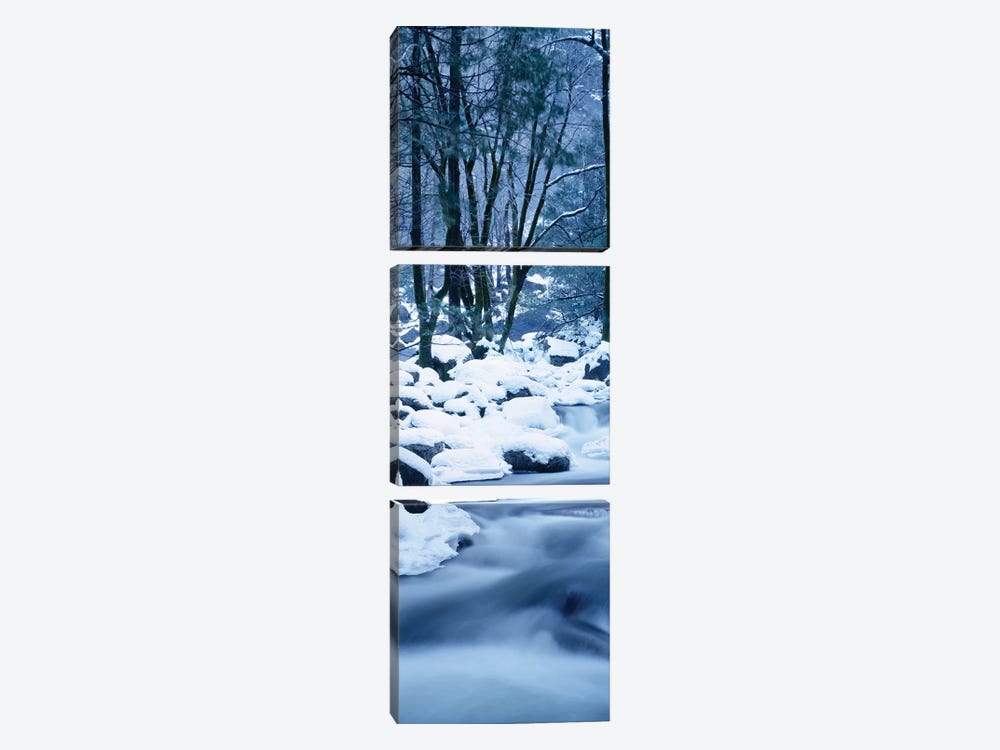 Creek Flowing Through Forest In Winter, Yosemite National Park, California, USA by Panoramic Images 3-piece Canvas Art