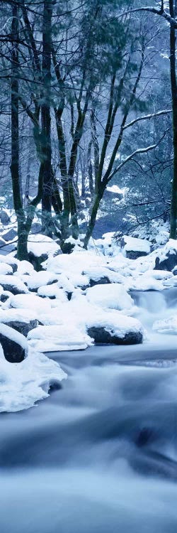 Creek Flowing Through Forest In Winter, Yosemite National Park, California, USA