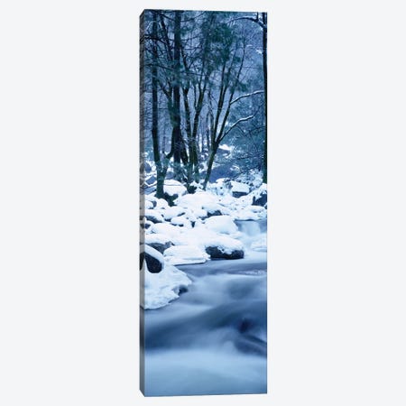 Creek Flowing Through Forest In Winter, Yosemite National Park, California, USA Canvas Print #PIM14602} by Panoramic Images Art Print