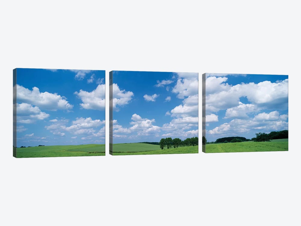 Cumulus Clouds Over A Landscape, Germany by Panoramic Images 3-piece Canvas Artwork