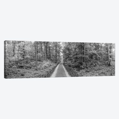 Dirt Road Passing Through A Forest, Baden-Württemberg, Germany Canvas Print #PIM14621} by Panoramic Images Canvas Art Print