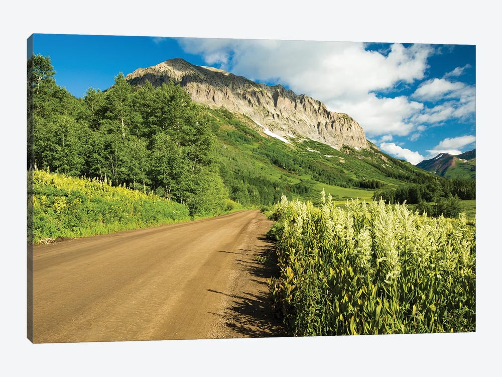 Dirt Road Passing Through A Forest, Crested Butte, Colorado, USA by Panoramic Images 1-piece Canvas Art