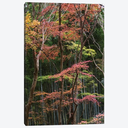 Fall Foliage At Ginkaku-Ji Temple, Kyoti Prefecture, Japan Canvas Print #PIM14638} by Panoramic Images Canvas Artwork