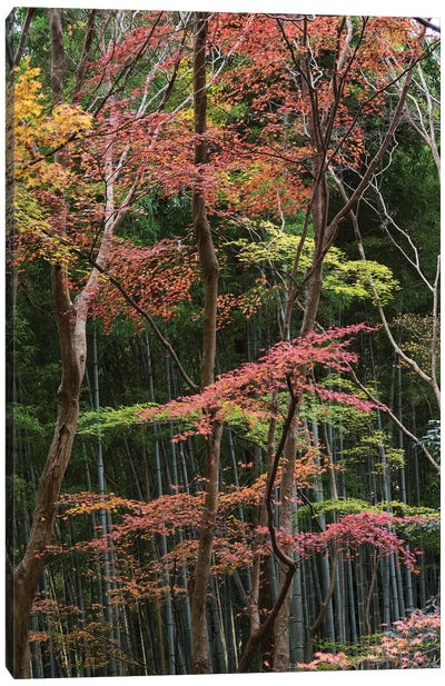 Fall Foliage At Ginkaku-Ji Temple, Kyoti Prefecture, Japan Canvas Art Print - Kyoto
