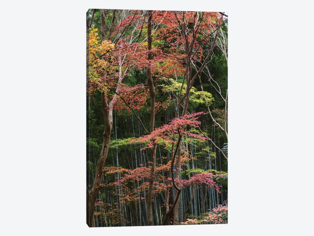 Fall Foliage At Ginkaku-Ji Temple, Kyoti Prefecture, Japan by Panoramic Images 1-piece Canvas Print
