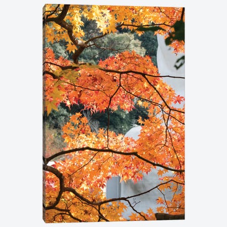 Fall Leaves On Maple Tree At Kodaiji Temple, Kyoti Prefecture, Japan Canvas Print #PIM14643} by Panoramic Images Canvas Art Print
