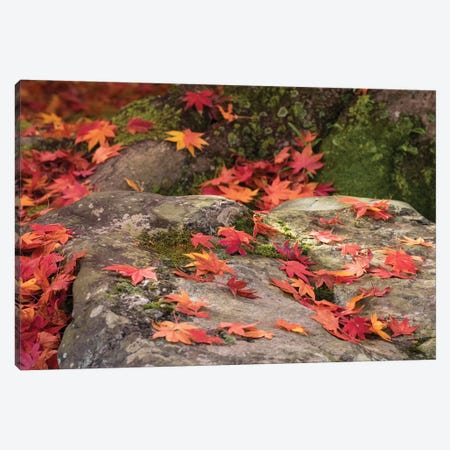 Fallen Autumnal Leaves On Rock, Kodaiji Temple, Kyoti Prefecture, Japan Canvas Print #PIM14644} by Panoramic Images Canvas Wall Art