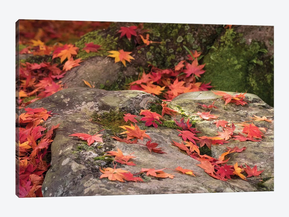 Fallen Autumnal Leaves On Rock, Kodaiji Temple, Kyoti Prefecture, Japan by Panoramic Images 1-piece Canvas Artwork