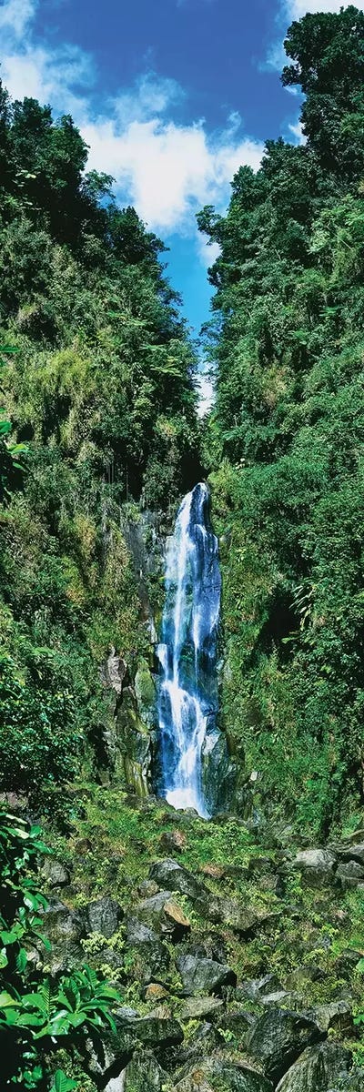 Father Falls, Trafalgar Falls, Dominica, Caribbean by Panoramic Images canvas print
