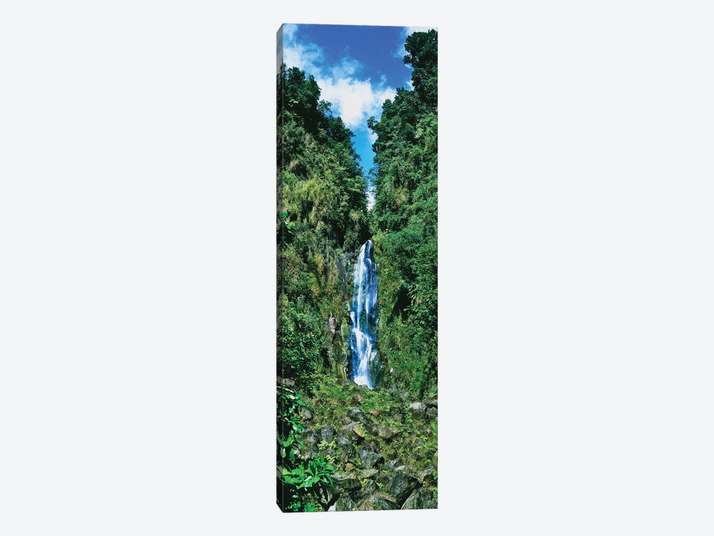 Father Falls, Trafalgar Falls, Dominica, Caribbean by Panoramic Images 1-piece Canvas Artwork