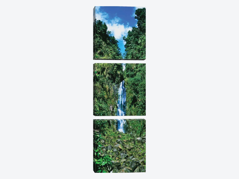Father Falls, Trafalgar Falls, Dominica, Caribbean by Panoramic Images 3-piece Canvas Art