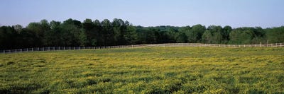 Fence Along A Field, Johnson County, Illinois, USA by Panoramic Images canvas print