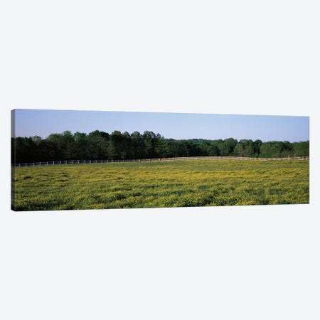 Fence Along A Field, Johnson County, Illinois, USA Canvas Print #PIM14647} by Panoramic Images Canvas Wall Art