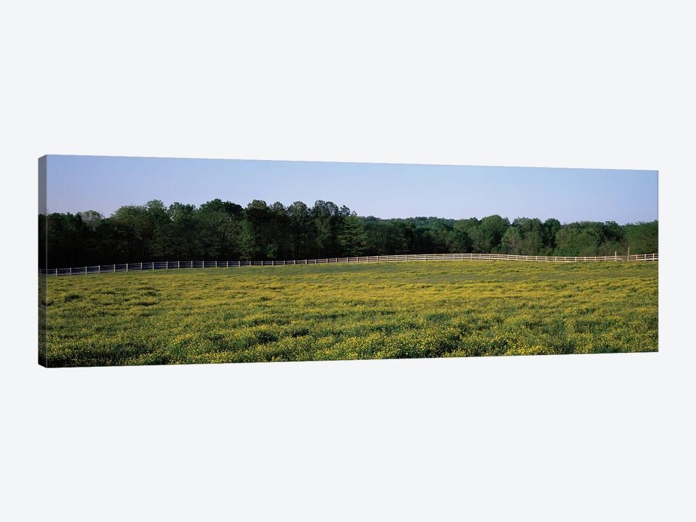 Fence Along A Field, Johnson County, Illinois, USA by Panoramic Images 1-piece Art Print