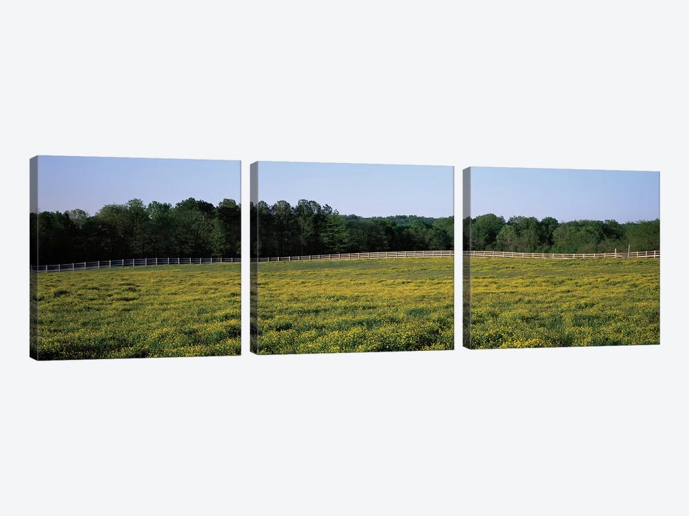 Fence Along A Field, Johnson County, Illinois, USA by Panoramic Images 3-piece Art Print