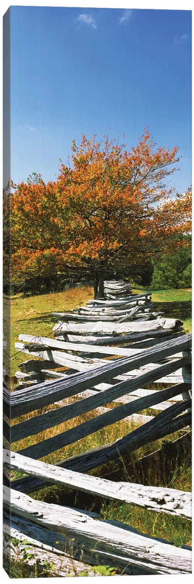 Fence In A Park, Blue Ridge Parkway, Floyd County, Virginia, USA Canvas Art Print - Farm Art
