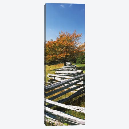 Fence In A Park, Blue Ridge Parkway, Floyd County, Virginia, USA Canvas Print #PIM14648} by Panoramic Images Canvas Art Print