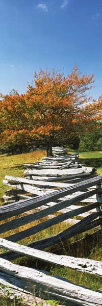 Fence In A Park, Blue Ridge Parkway, Floyd County, Virginia, USA
