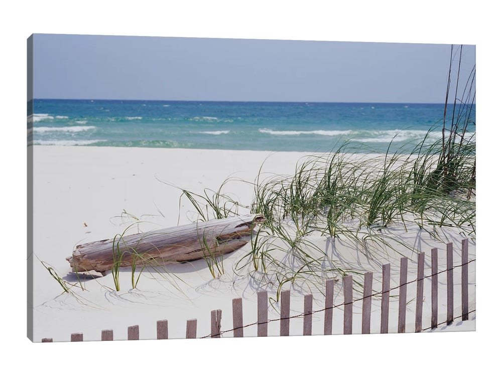 Fence On The Beach, Alabama, Gulf of Mexico, USA ( scenic & landscapes > Coastal > beaches > Sandy beaches art) - 40x60 in