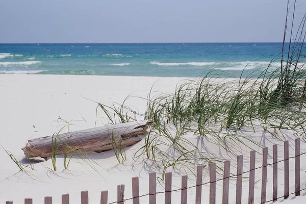 Alabama: Fence On The Beach, Alabama, Gulf Of Mexico, USA by Panoramic Images