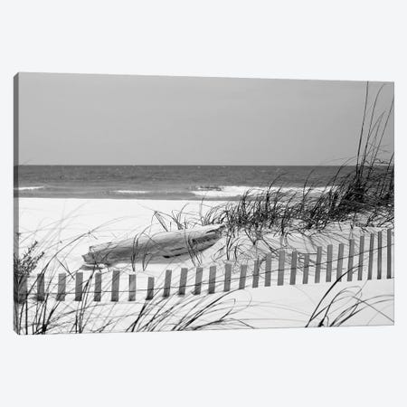 Fence On The Beach, Bon Secour National Wildlife Refuge, Gulf Of Mexico, Alabama, USA Canvas Print #PIM14650} by Panoramic Images Canvas Artwork