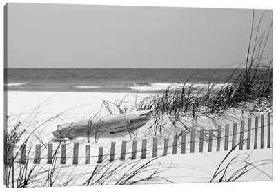 Fence On The Beach, Bon Secour National Wildlife Refuge, Gulf Of Mexico, Alabama, USA Canvas Art Print