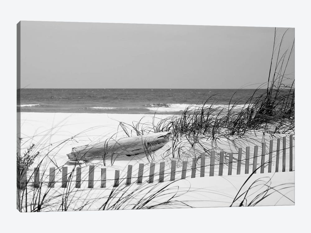 Fence On The Beach, Bon Secour National Wildlife Refuge, Gulf Of Mexico, Alabama, USA by Panoramic Images 1-piece Canvas Print