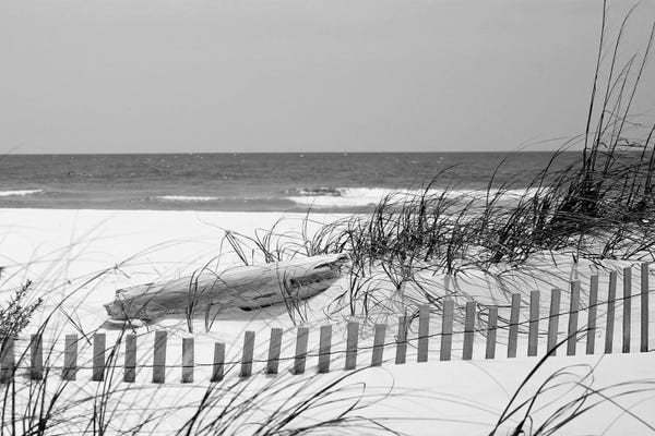Fence On The Beach, Bon Secour National Wildlife Refuge, Gulf Of Mexico, Alabama, USA